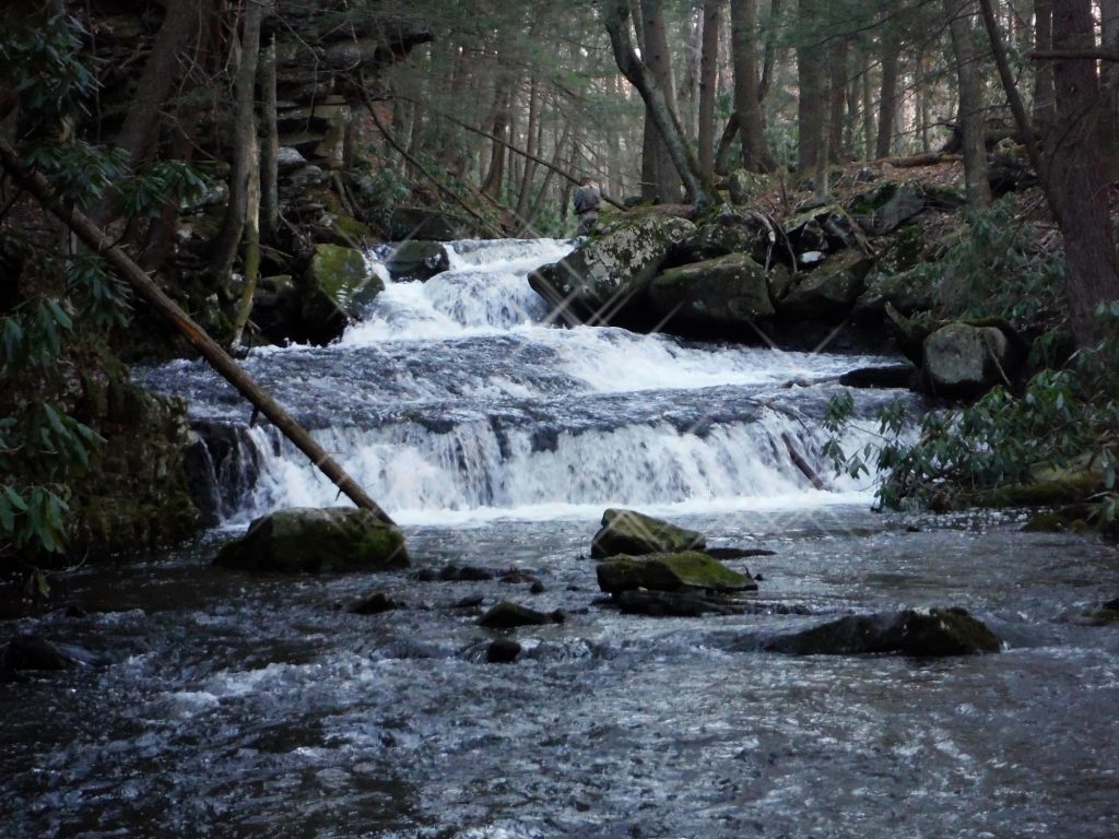 Streamside Waterfalls Walk at Cranberry Creek Preserve Get Your Tail