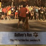 Gulliver’s Run