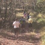 A Walk in Penns Woods at the Mokoma Conservancy