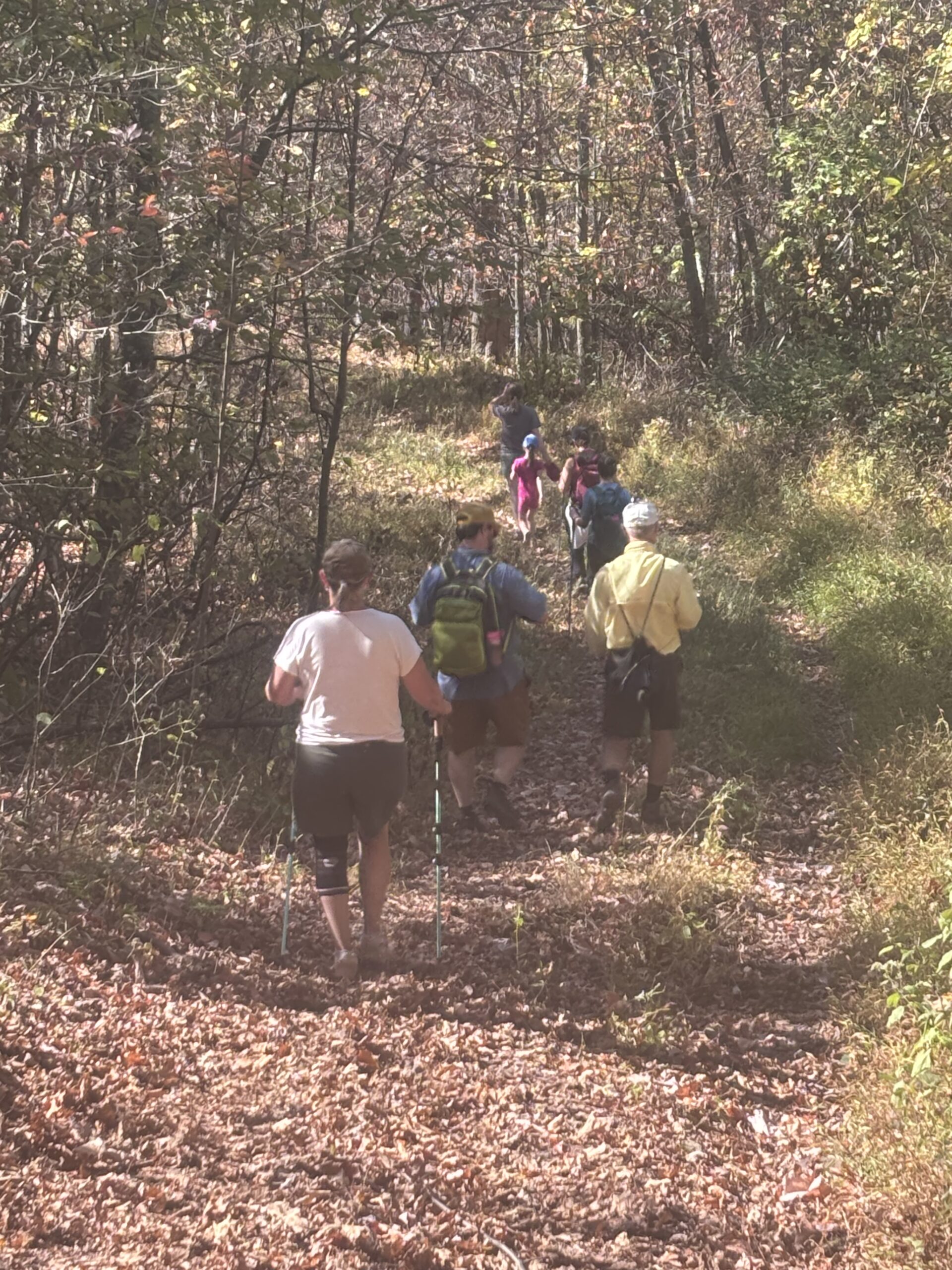 A Walk in Penns Woods at the Mokoma Conservancy