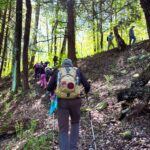 EMHR’s Small Business Support Hikes: Salt Springs Park