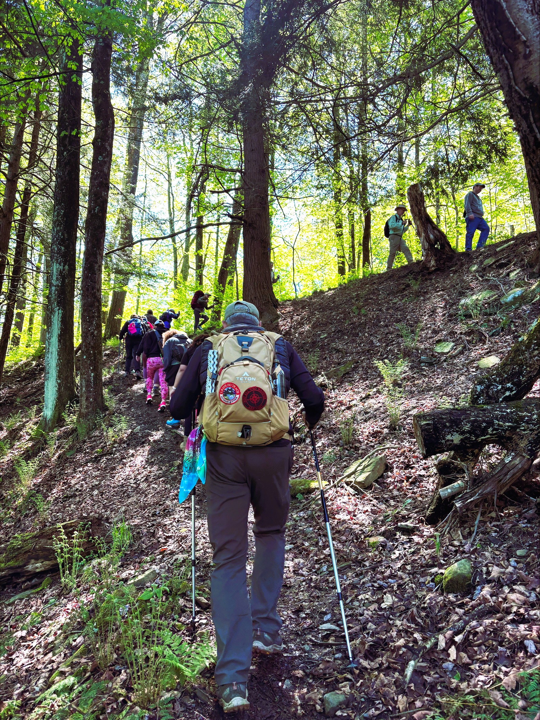 EMHR’s Small Business Support Hikes: Salt Springs Park