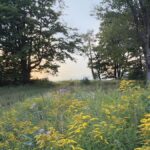 Sunset Wellness Walk