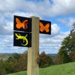 Morning Wellness Walk