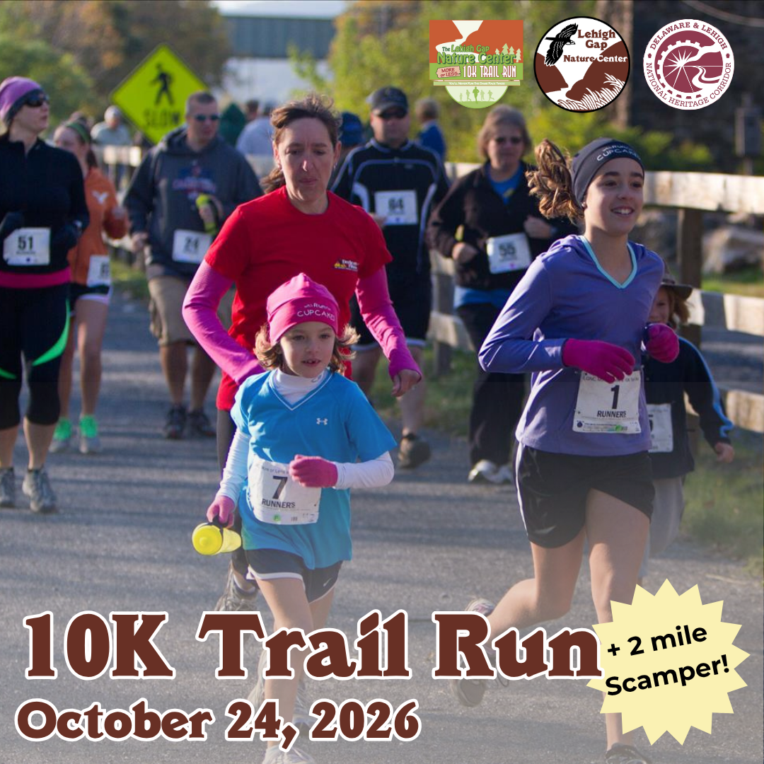 More or Less 10K Trail Run and 2-Mile Scamper