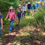 Edible & Medicinal Plant Walk with Heather Houskeeper