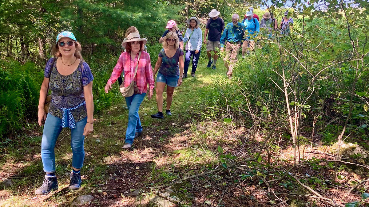 Edible & Medicinal Plant Walk with Heather Houskeeper